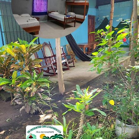 Hostal Xilotl San Jose del Sur ภายนอก รูปภาพ